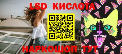 стаф Новодвинск