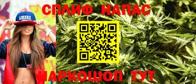 стаф Новодвинск