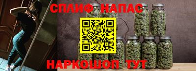 прущие крисы Новозыбков