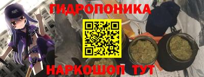 стаф Новодвинск