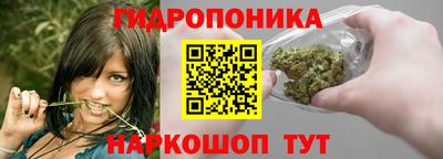 стаф Новодвинск