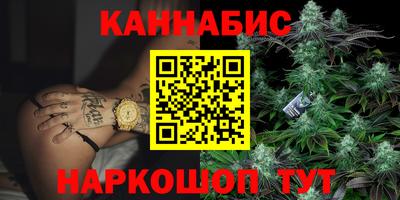 стаф Новодвинск