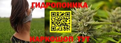 стаф Новодвинск