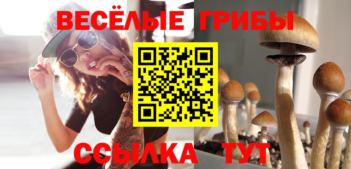 Реутов  Псилоцибиновые грибы мухоморы  Вход с VPN 