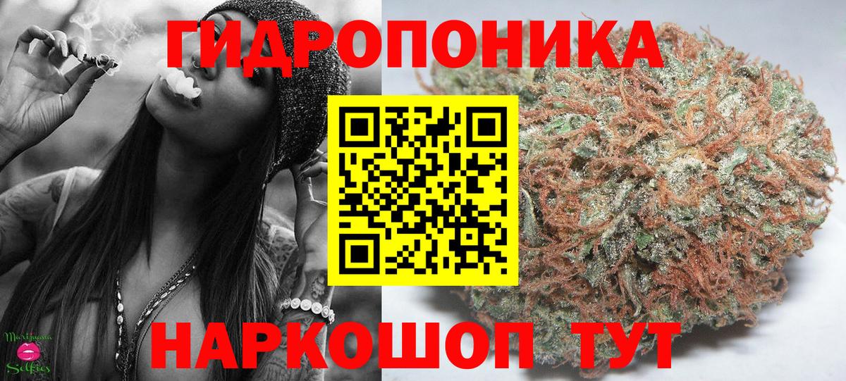 Бошки Шишки тримм  Шишки марихуана тримм  Вход с VPN  Реутов 